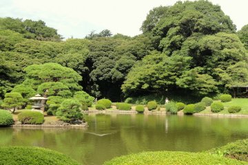 Shinjuku Gyoen National Garden