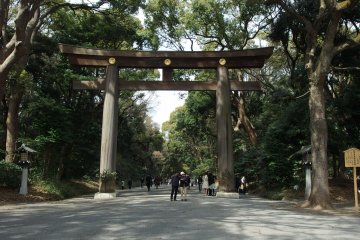 Torii gate, Meiji Jingu