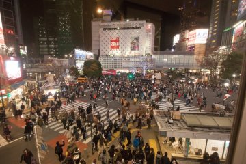 Shibuya Crossing at night
