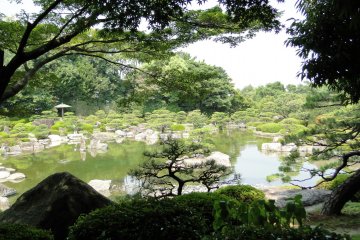 A view of the garden through the trees