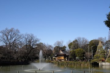The pond of Himonya Park 