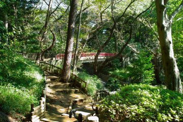 Tamagawadai Park