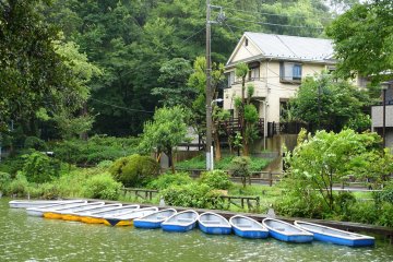 Tokyo's Suginami City Ward