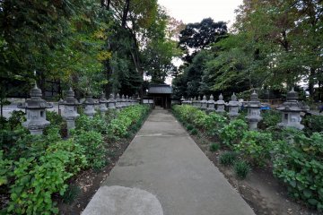 Expressive pathways