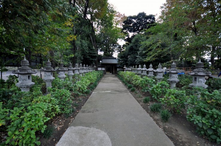 Expressive pathways