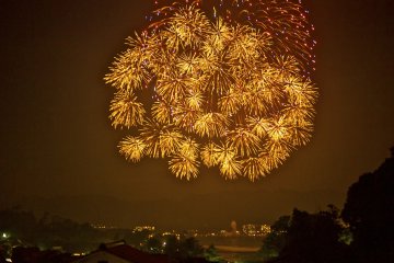 Some of the fireworks early on were so intricate and beautiful