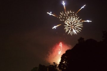 Some shapes of the fireworks seemed to represent tropical flowers
