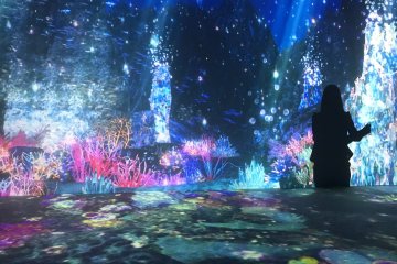 Marvel at "Paradise"