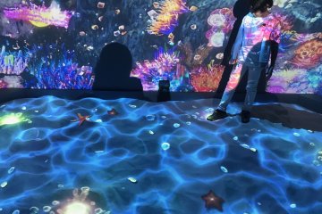 Play in the sandbox and find the different marine animals