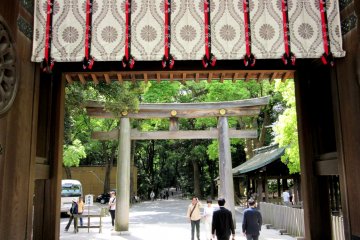 Kiku image in Kyoto