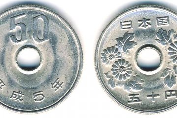 Kiku image on the 50 yen coin