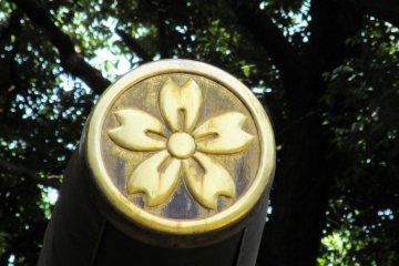 Sakura image in Omiya Shrine