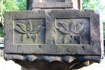 Hasu in Ueno shrine