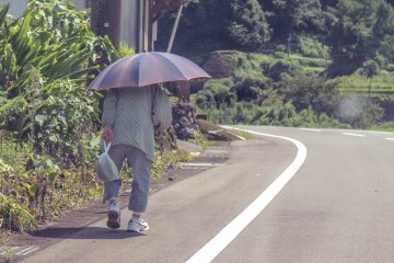 An old woman walking near the rice fields 