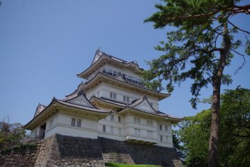 Odawara Castle in the Summertime