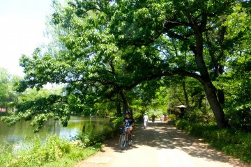 One of the many spaces at Shakujii Park