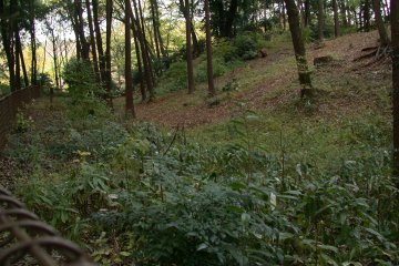 Shakujii Castle Ruins