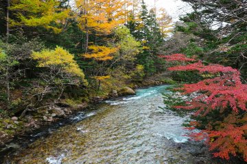คามิโคจิ (Kamikochi) เดินเล่นในฤดูใบไม้เปลี่ยนสี