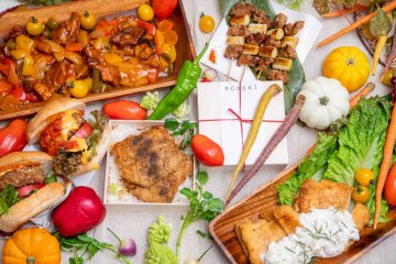 A Vegan Catering Service "MODOKI" 