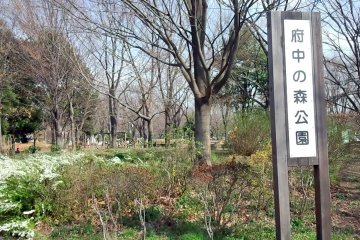 Fuchu no Mori Park, Fuchu City