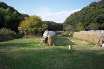 Noyamakita-Rokudoyama Park, Musashimurayama City