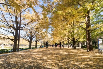 Showa Memorial Park, Tachikawa City
