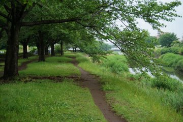 Tamagawa River, near Haijima Park, Akishima City