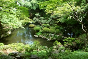 Tokyo's Kokubunji City