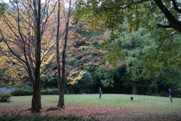 Kamanofuchi Park, Ome City