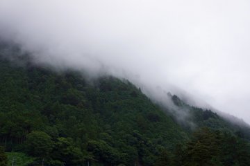 Verdant nature, Okutama Town