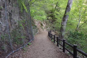 Tokyo Citizens' Forest, Hinohara Village