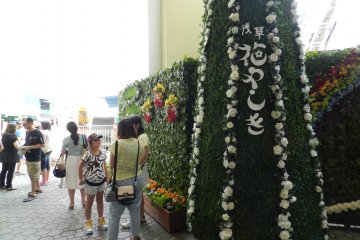 <p>The park maintains a lot of elements of its history as a flower park.</p>