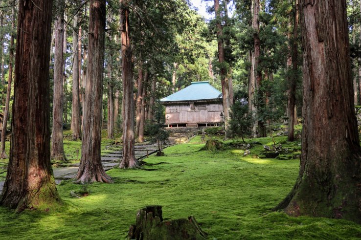 Carpet of moss leading up to the Haiden at Heisenji Hakusan Shrine