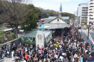 Harajuku Station congestion