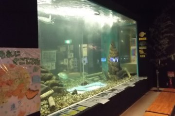 <p>The big main tank</p>