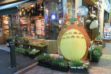 There is even a cute Totoro shop next door