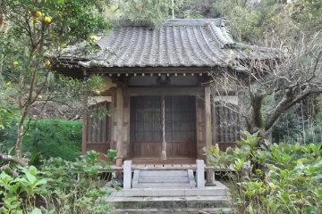 The temple grounds are thick with trees and shrubs