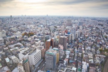 View From Carrot Tower