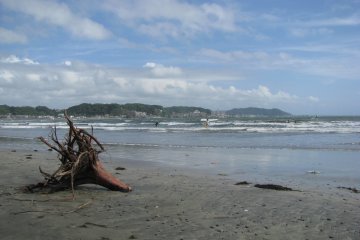 The Coast of Sagami Bay