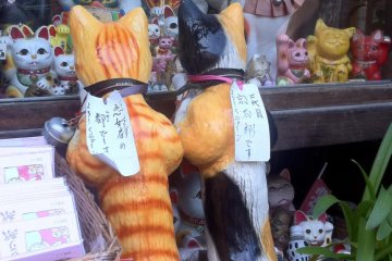 Even the cats enjoy window shopping here