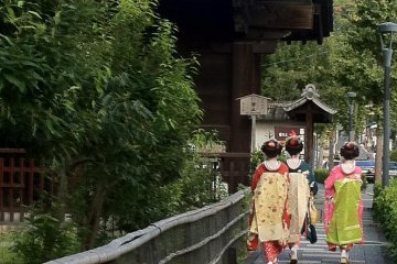 strolling near yasuka shrine