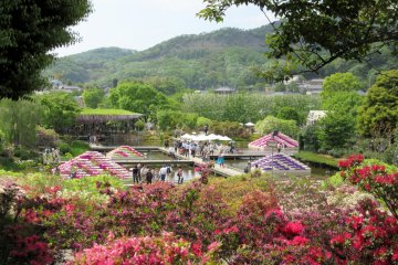 Ashikaga Flower Park