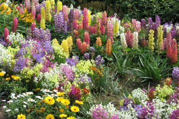 Ashikaga Flower Park