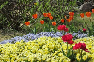 Floral Garden in Obuse