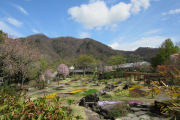 Floral Garden in Obuse