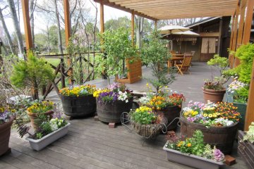 Floral Garden in Obuse