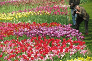 Hamamatsu Flower Park