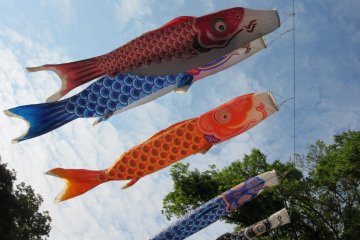 ‘Koinobori’ are traditional decorations for the holiday Kodomo-no-hi