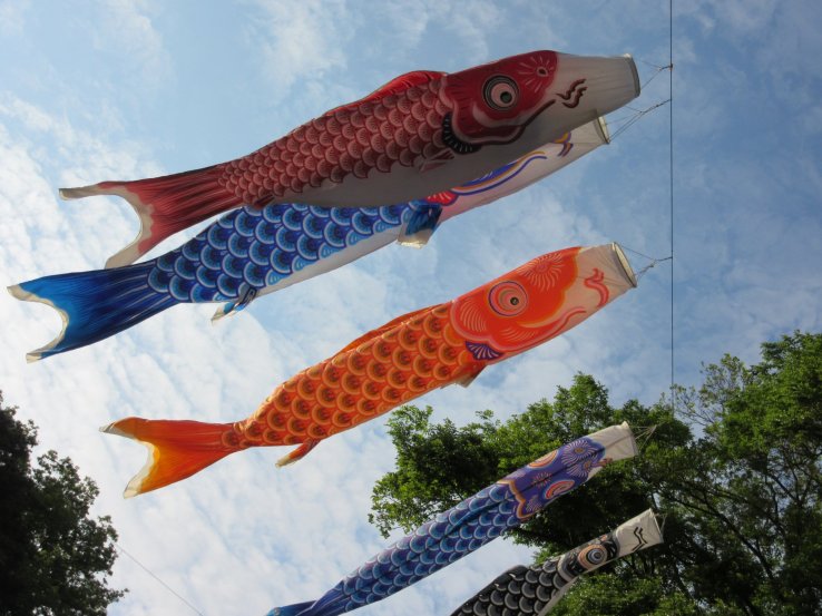 ‘Koinobori’ are traditional decorations for the holiday Kodomo-no-hi