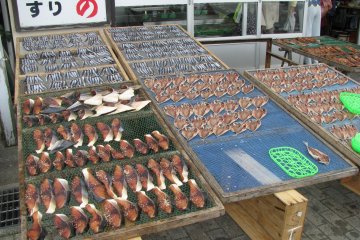 In port towns you can find all sorts of fish
